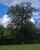  B005753rot